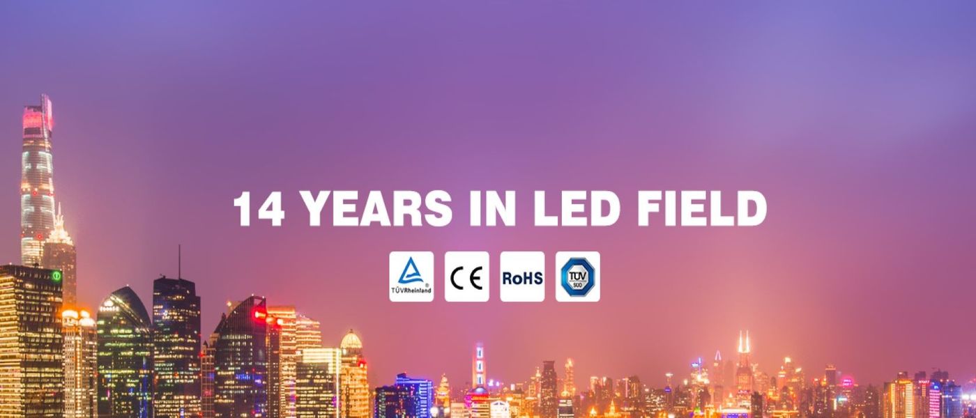 China best Dreamcolor LED Strip Lights on sales