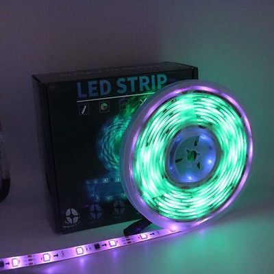 IP65 10M Dream Color Chasing LED