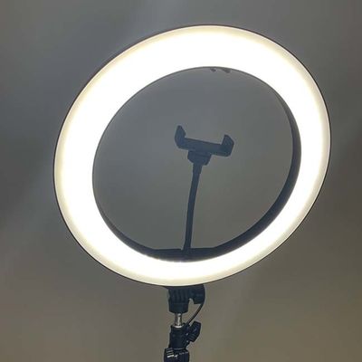 Live Streaming 60W 19 Inch LED Selfie Ring Light