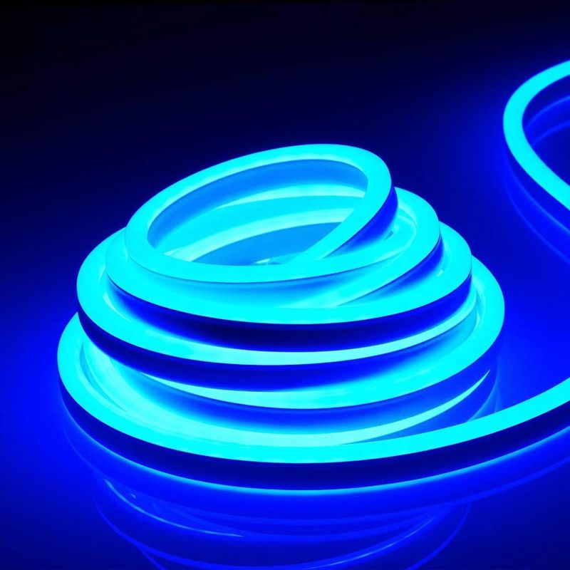 2835 SMD 12V 6 X 12mm 8 X 16mm PVC Silicone Neon Light E Single All Color LED Neon Flex Rope