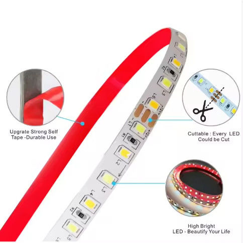 Factory sell Two-color CCT led strip light 24v Color Temperature Adjustable 120led 12v light 2835 led strip Decoration