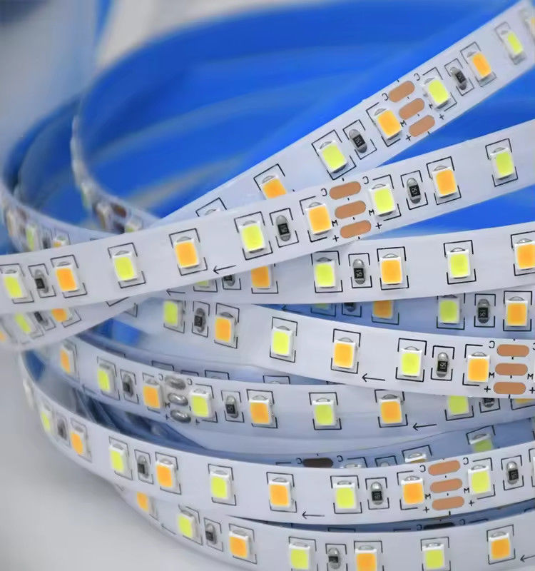 Factory sell Two-color CCT led strip light 24v Color Temperature Adjustable 120led 12v light 2835 led strip Decoration