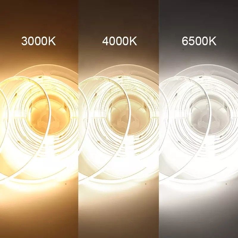 Customizable RGBW RGBWW RGBIC RGB CCT Neon Light for Outdoor Lighting 50000 Working Hours