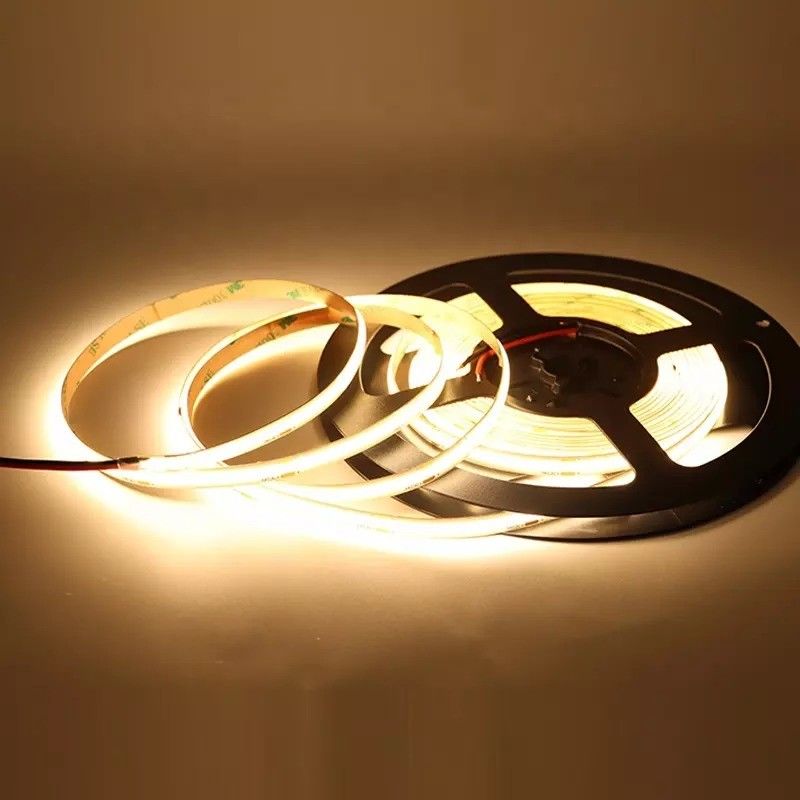 Customizable RGBW RGBWW RGBIC RGB CCT Neon Light for Outdoor Lighting 50000 Working Hours