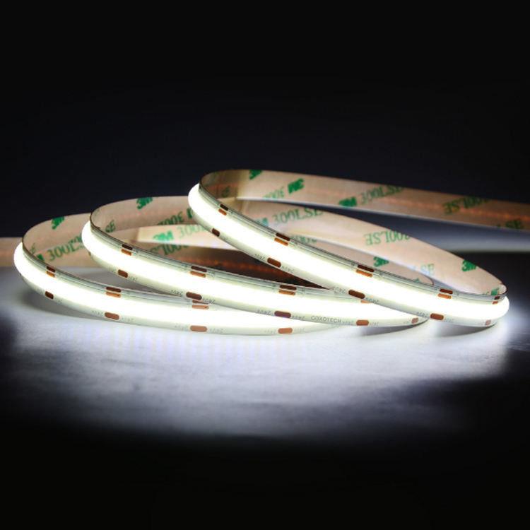 Customizable FPC CHIP RESISTOR LED Strip Light 12V 24V for Indoor and Outdoor Decoration