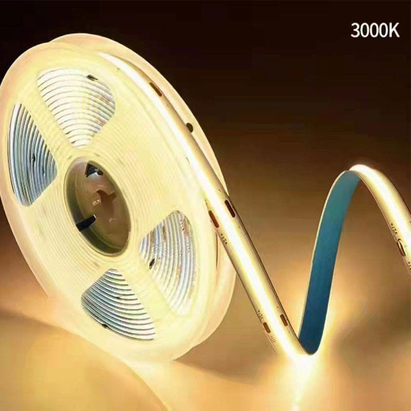 Customizable FPC CHIP RESISTOR LED Strip Light 12V 24V for Indoor and Outdoor Decoration
