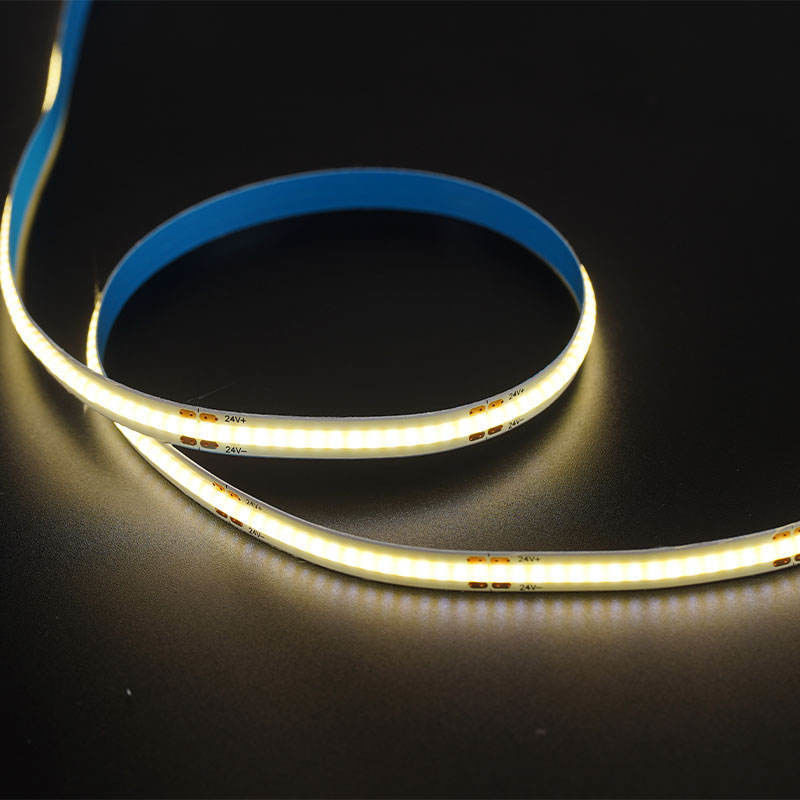 Customizable FPC CHIP RESISTOR LED Strip Light 12V 24V for Indoor and Outdoor Decoration