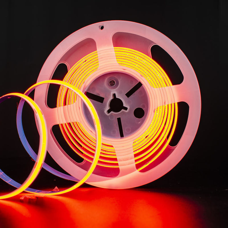 Customizable FPC CHIP RESISTOR LED Strip Light 12V 24V for Indoor and Outdoor Decoration