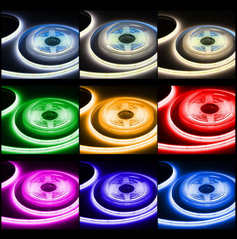Customizable FPC CHIP RESISTOR LED Strip Light 12V 24V for Indoor and Outdoor Decoration