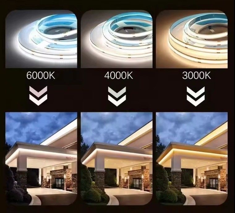 High Voltage LED Strip Light with Connector and CRI Ra 80 70-80 lm/W Lamp Luminous Efficiency